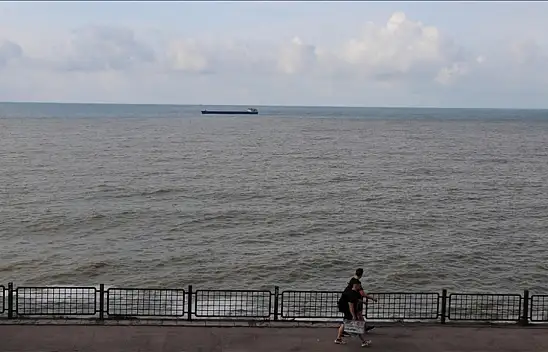 Denizin rengi kahverengiye döndü