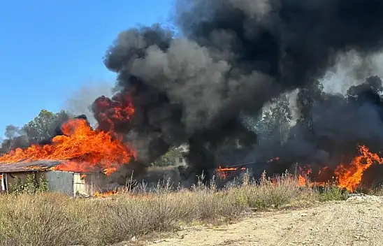 Depo ateş topuna dönüştü. Gökyüzünü duman kapladı