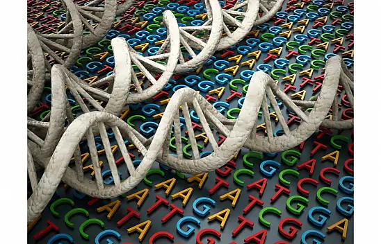 DNA'nın yapısı ve genetik kodlama: Temel bilgiler ve yeni keşifler