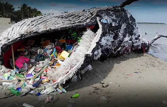 Doğamızı tehdit eden sessiz felaket