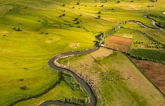 Doğanın İhtişamı: Güzeldere Menderesleri