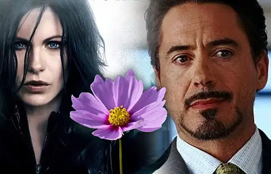 Doğduğunuz ayın çiçeği karakterinizi ele veriyor! 12 ay tam liste…