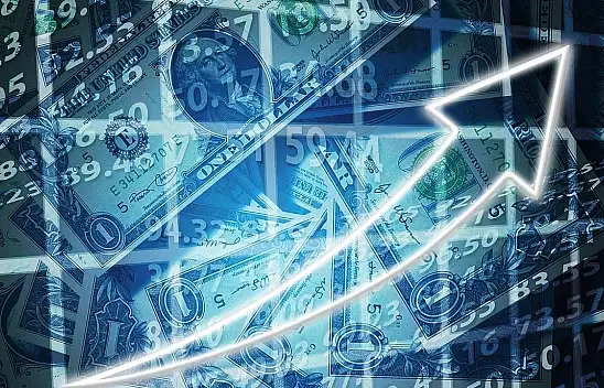 Doların artışı neden durdu? Merkez Bankası'nın eski yöneticisi açıkladı