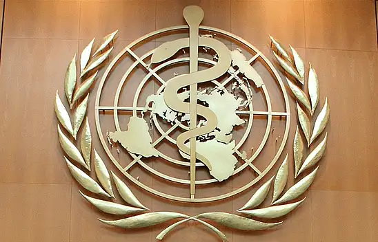 DSÖ Direktörü'nden 'derhal ateşkes' çağrısı!