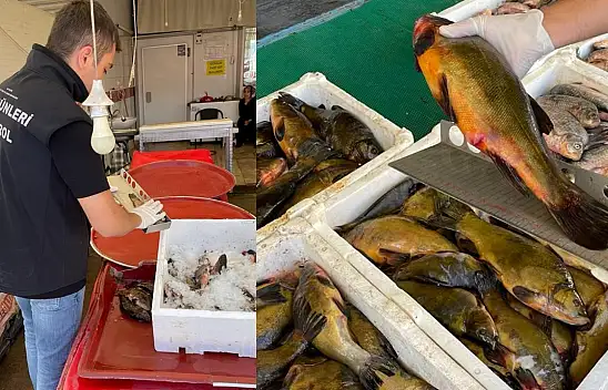 Ekipler Konya'nın o ilçesinde avcılık denetimi yaptı