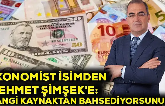 Ekonomist isimden Mehmet Şimşek'e: Hangi kaynaktan bahsediyorsunuz?