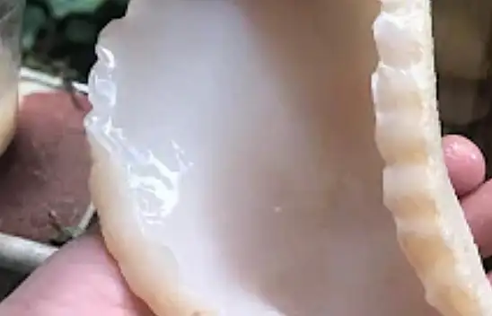 Elma sirkesi hakkında bilmeniz gerekenler! İhmal ederseniz zehre dönüşüyor…