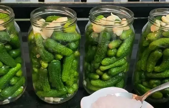 En güzel salatalık turşusu bu ilden çıkıyor: Çiftçi talebe yetişemiyor…