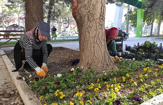 Ereğli sonbahar aylarında çiçek açacak!