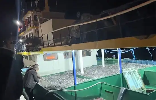 Fırtına dindi balıkçılar kasa kasa hamsi ile geri döndü