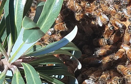 Gelirini vargitten sağlıyor. Siparişler kışın alıyor, gelecek kıştan önce teslim ediyor…