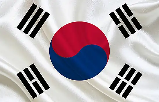 Güney Kore, o görüşmeleri yalanladı