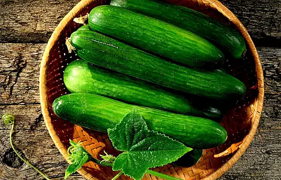 Günlük salatalık tüketimi: Sağlığa faydalı bir alışkanlık mı?