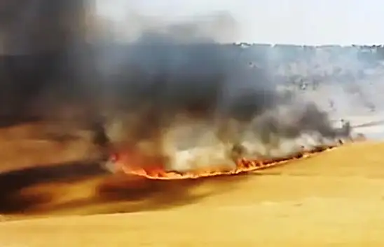 Hasadı yapılmamış 130 dönüm buğday tarlası küle döndü