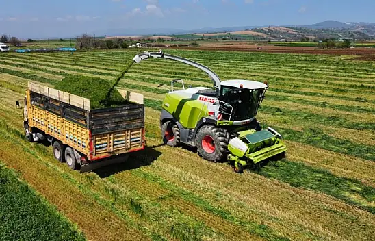 Hasat için üreticiler sahaya indi