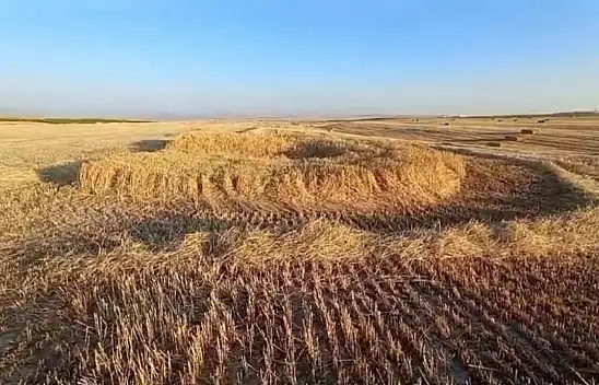 Konya'da hasat yapacaklardı obruk oluştu. Korktular...