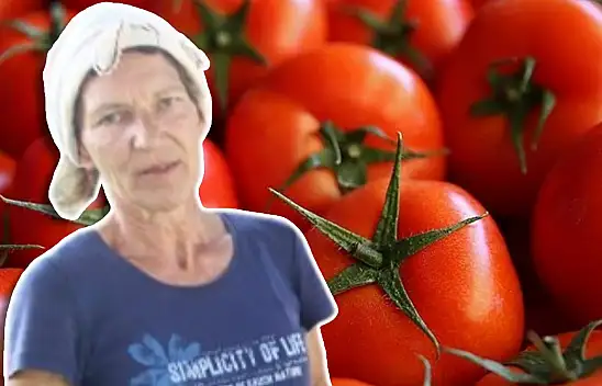 Hataylı ev hanımları kışlık domatesi böyle saklıyor.. Tüm kış aynı lezzetinde kalıyor, asla küf yapmıyor! 