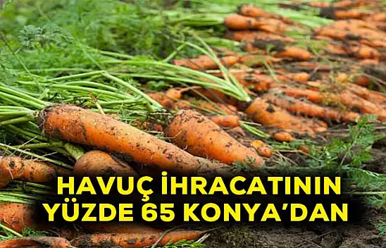 Havuç ihracatının yüzde 65 Konya'dan