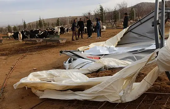 Karaman'da hayvan çadırları şiddetli rüzgardan yıkıldı!