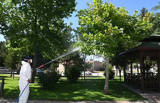 Herşey Selçuklu'nun konforu için