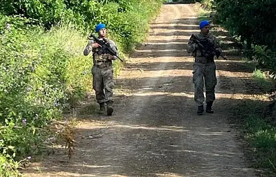 Hırsızlar meyve bahçelerine dadandı