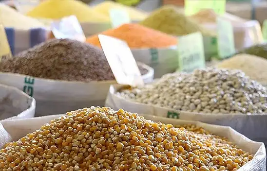 Hububat ve bakliyat ihracatı 5 milyar doları aştı