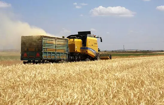 Hububatta bu yıl yüksek rekolte bekleniyor