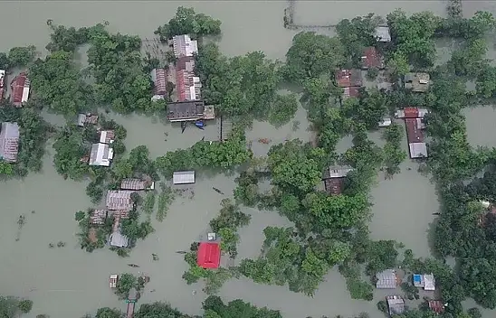 iklim felaketlerinde son 50 yılın bilançosu: 2 milyondan fazla can kaybı