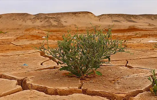 İklim risklerinin bedeli, tedbir için gereken maliyetin yaklaşık 9 katı