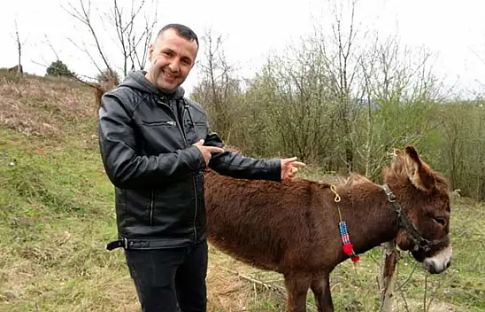 İnternette satışa çıkan eşek fenomen oldu
