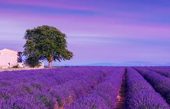 İşte oranın geliri öğrencilere verilecek