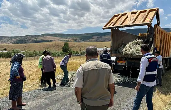 İzinsiz pamuk dikeni topladı 244 bin lira para cezası kesildi