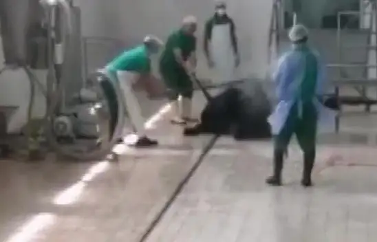 Kafasına vura vura kesime götürdüler