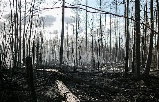 Kanada'da binlerce kişi tahliye edildi