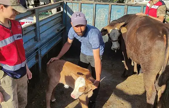 Kapı önünde ineği çalındı