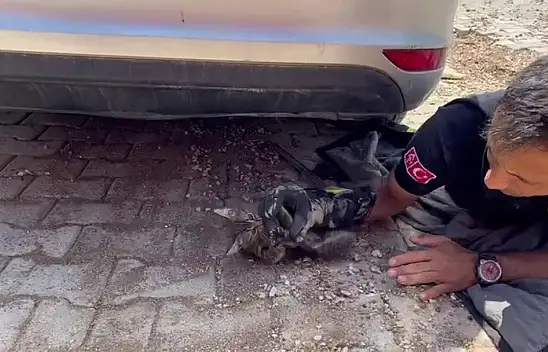  Kaputa sıkıştı, itfaiye ekiplerince kurtarıldı