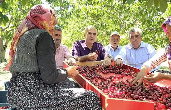 Karaman Ziraat Odası Başkanı Bayram, kiraza 15 lira fiyat veriyorlar