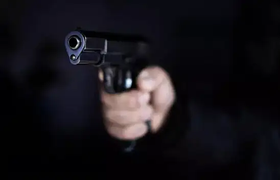 Kardeşi 'Vur' dedi, ağabeyi 14 kez bıçakladı