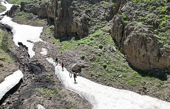 Karlı yolları aşıyorlar... Veteriner hekimlerin zorlu mücadelesi...