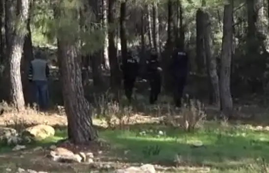 Kasap et derdinde, koyun can derdinde: Peki ya kurt kaparsa?