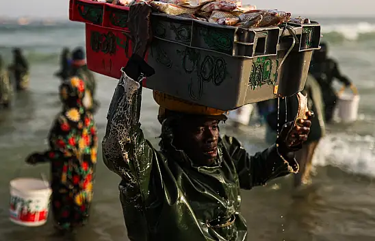 Kayar kentinde binlerce kişi geçimini balıkçılık yaparak sağlıyor