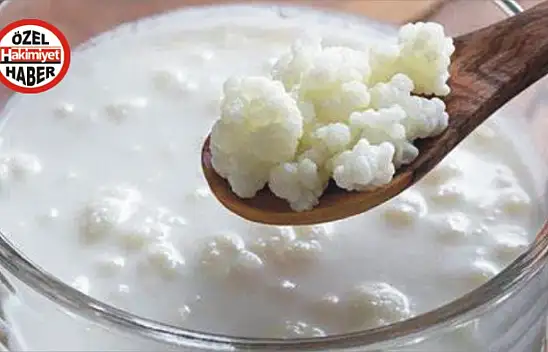 Kefir nasıl yapılır? Sağlığa ne gibi faydaları vardır? Fazla tüketimi nelere yol açar?