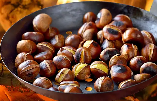 Kestanenin Faydalarını Biliyor musunuz?