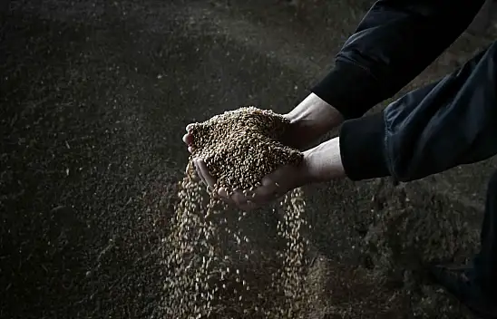 Kırım'da tahıl yüklü trenin vagonları raydan çıktı