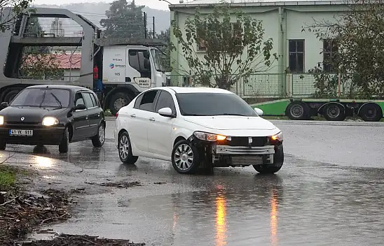 Kocaeli'de şiddetli rüzgar ağacı kökünden söktü