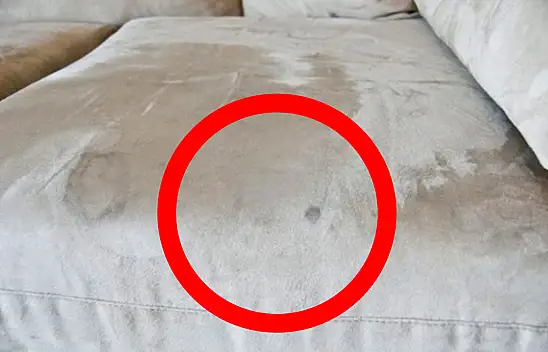 Koltuk lekerini tek hamlede çıkaran formül! Kirden tozdan iz bile kalmıyor...