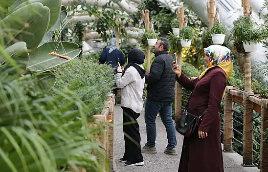 Konya, 8 yılda 3 milyon ziyaretçiyi ağırladı! Bakın sebebi neymiş?