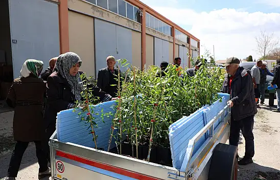 Konya Büyükşehir 31 İlçede Ürün Çeşitliliğini Artırmak İçin Çiftçiye Destek Oluyor