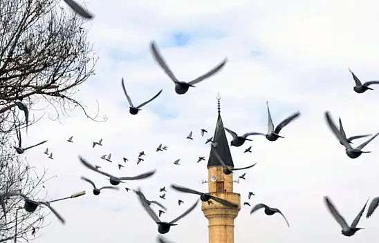 Konya cami sayısında kaçıncı sırada?