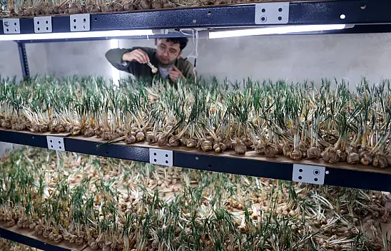 Konya'da 14 metrekarelik tesisten yıllık 1 milyonu aşan gelir